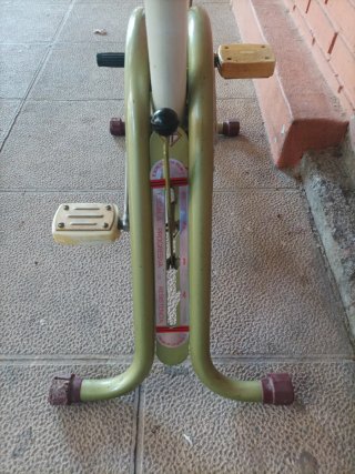 Bicicleta Estática Torrot Antigua