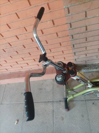 Bicicleta Estática Torrot Antigua