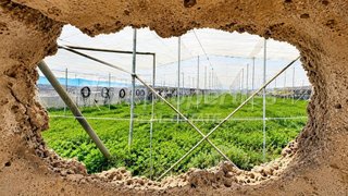 Terreno en venta en San Isidro en Granadilla de Abona