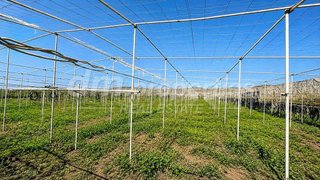 Terreno en venta en San Isidro en Granadilla de Abona