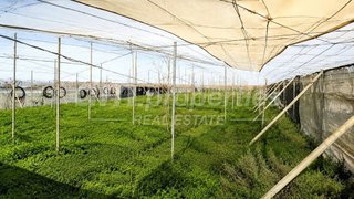 Terreno en venta en San Isidro en Granadilla de Abona
