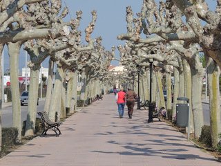 Terreno en venta en Norte en Castellón de la Plana