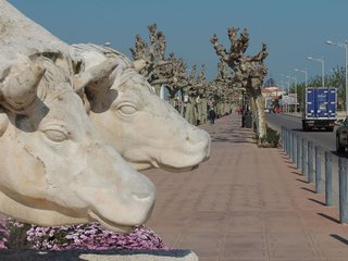 Terreno en venta en Norte en Castellón de la Plana