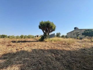 Terreno en venta en Rociana del Condado