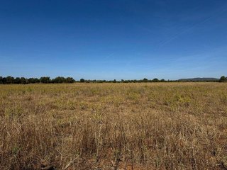 Terreno en venta en Campos