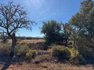 Terreno en venta en Campos