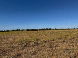 Terreno en venta en Campos