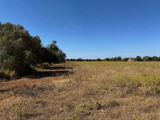 Terreno en venta en Campos
