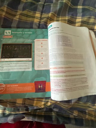 Lengua castellana y literatura