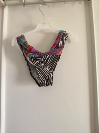 Bikini cebra y rayas multicolor
