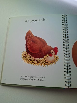 Les bébés animaux
