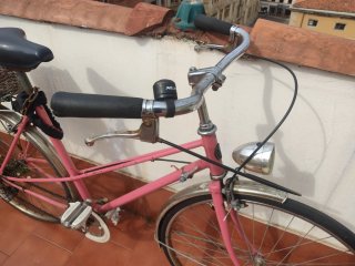 Bicicleta Vintage Rosa con Cesta