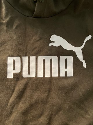 Conjunto Puma Sudadera L / Pantalón XL Verde Oliva