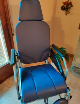 Sillón Sanitario