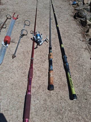 Lote de cañas de pescar y accesorios