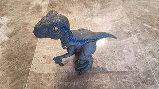 Dinosaurio Velociraptor Blue