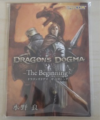 Dragon's Dogma PS3 JP + Novela ligera