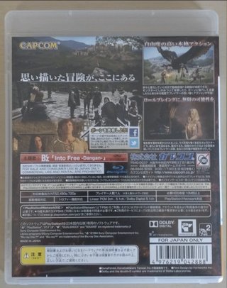 Dragon's Dogma PS3 JP + Novela ligera