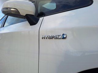 Toyota Prius 2010