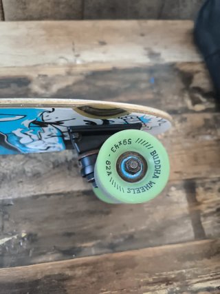 Skate con diseño de pulpo
