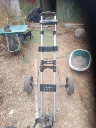 Carrito de golf Cinesis