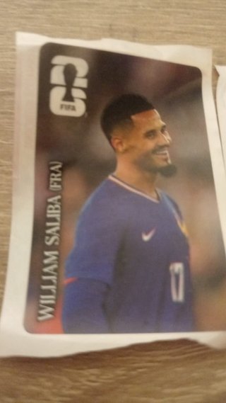 Vendo y cambio Cromos Mundial Panini