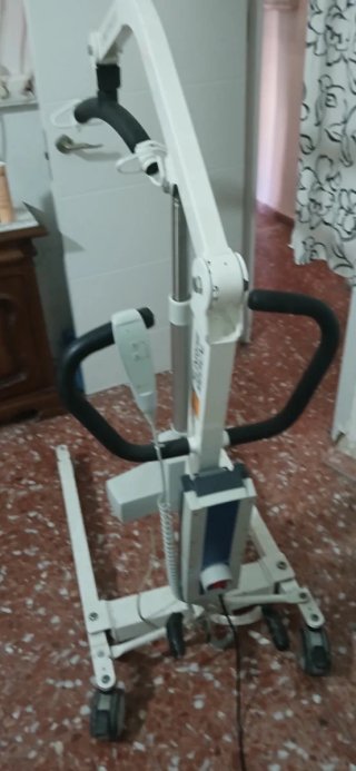 Grúa para personas de movilidad reducida.