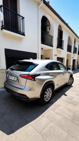 Lexus NX 300h