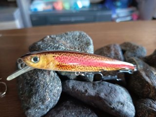 Lote de señuelos pesca a spinning
