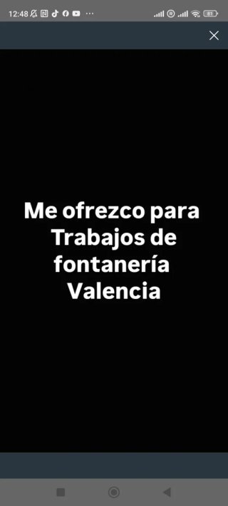 Fontanero valencia