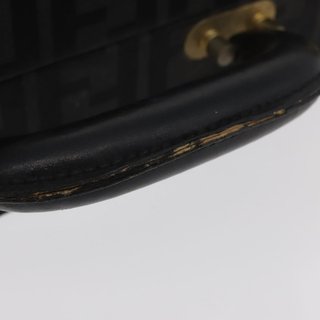 FENDI Zucca Canvas Trunk Black Auth 179960A -