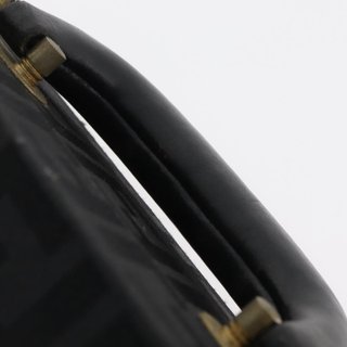 FENDI Zucca Canvas Trunk Black Auth 179960A -