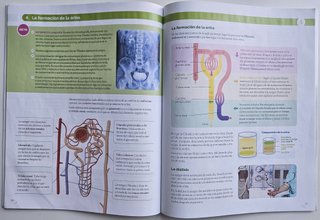Biología y Geología, 3 ESO, Proyecto construyen...