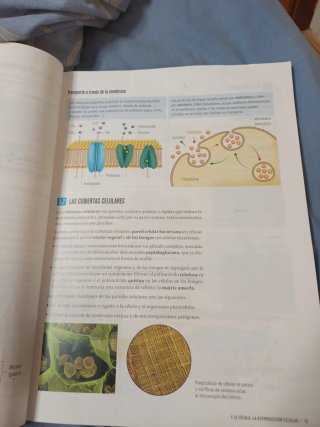Proyecto: FanFest - Biología y Geología 4 ESO [...