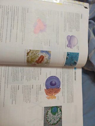Proyecto: FanFest - Biología y Geología 4 ESO [...