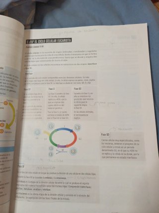 Proyecto: FanFest - Biología y Geología 4 ESO [...