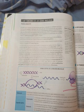 Proyecto: FanFest - Biología y Geología 4 ESO [...