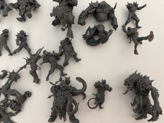 Equipo Blood Bowl Renegados del Caos