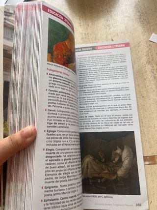 Lengua castellana y literatura, 2 Bachillerato