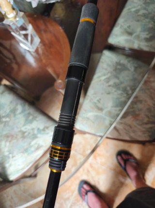 Caña Daiwa BG 1002 XHFS