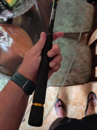 Caña Daiwa BG 1002 XHFS