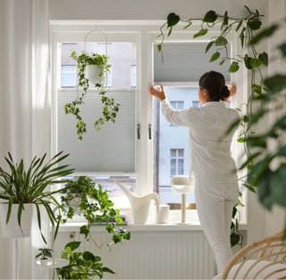 Dos estores plisados para oscurecer ventana.
