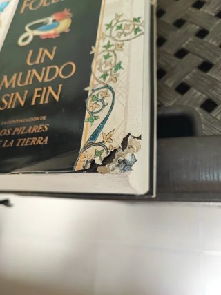 Un mundo sin fin