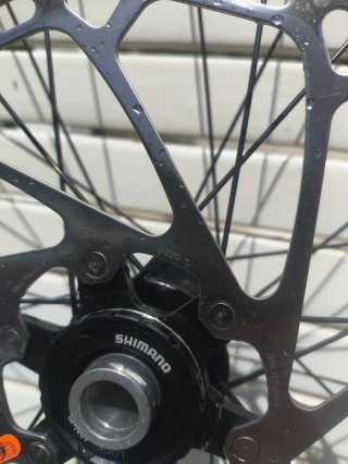 Rueda carbono 29 XT