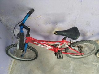 Lote bicicletas BH para niños