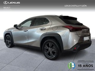 Lexus UX 300H +