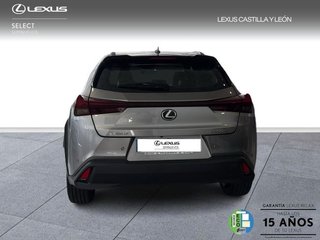 Lexus UX 300H +