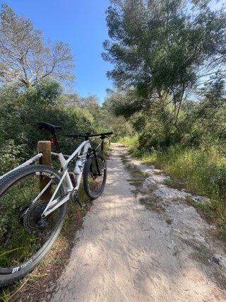 Bicicleta de Montaña Canyon