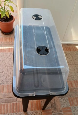Invernaderos de plástico para plantas .