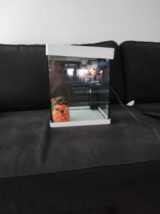 Acuario Nano con filtro y estructura